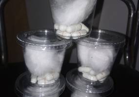ANTI EJACULATION PRECOCE ET FORTE ERECTION REPETITIVE